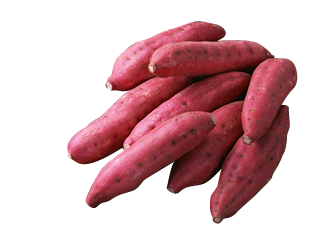 マルクス